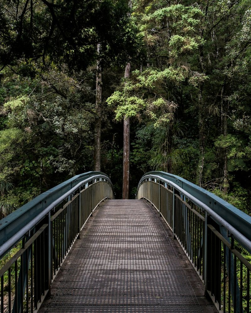 Stiller Waldweg im Morgenlicht